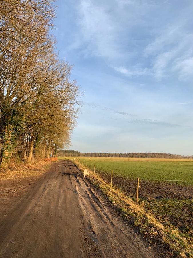 'T Holten Huus - Puur Genieten In Het Bos. Норг Экстерьер фото