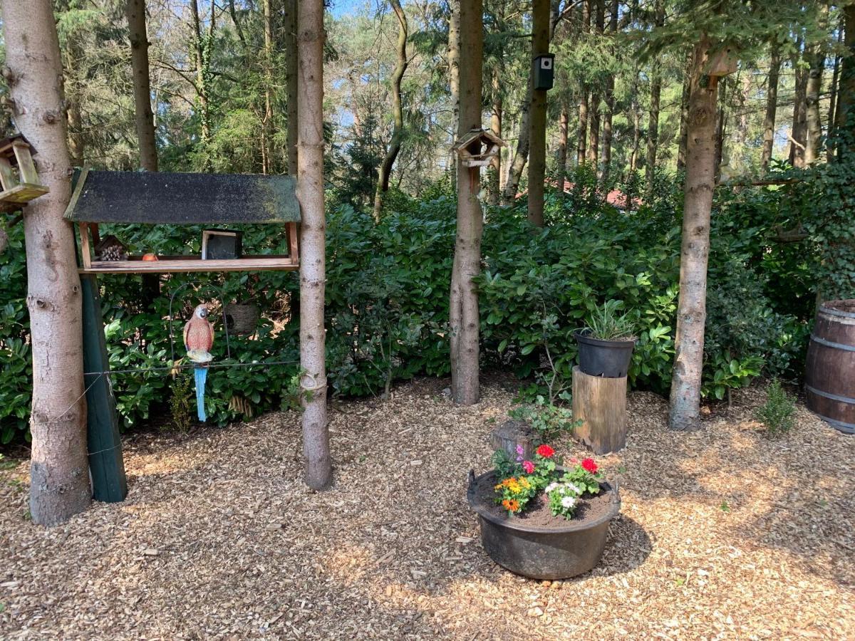 'T Holten Huus - Puur Genieten In Het Bos. Норг Экстерьер фото