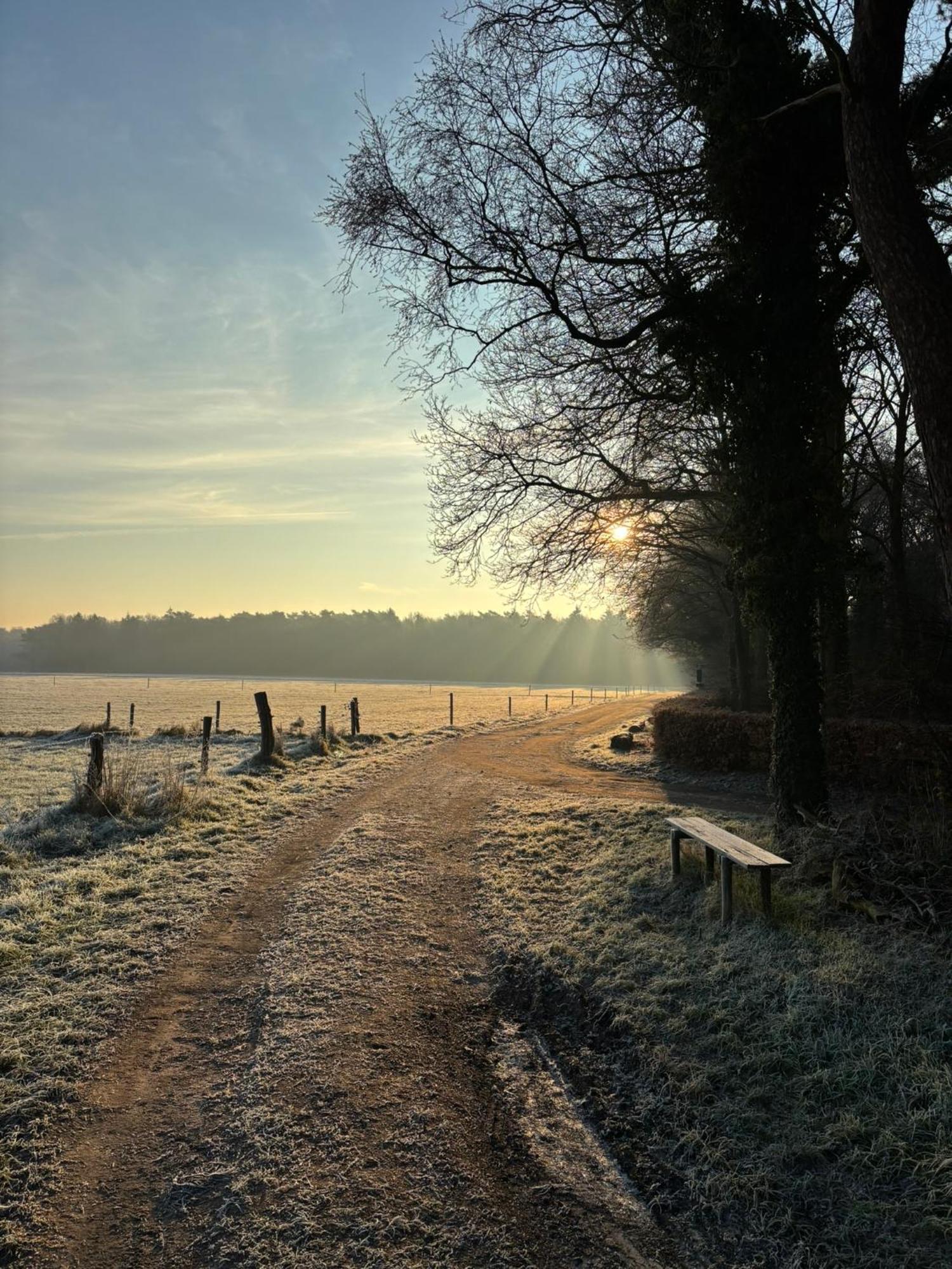 'T Holten Huus - Puur Genieten In Het Bos. Норг Экстерьер фото